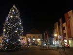 Nymburk vybírá vánoční strom a-1542027739.jpg
