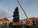 Nymburk hledá vánoční strom 2019 a-1570449209.jpg