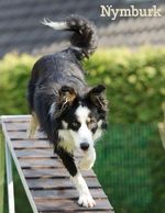 Milí pejskaři, DOGpark bude! a-1592410995.jpg