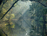 obrzek