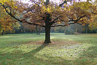 obrzek