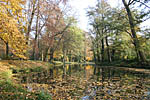 obrzek